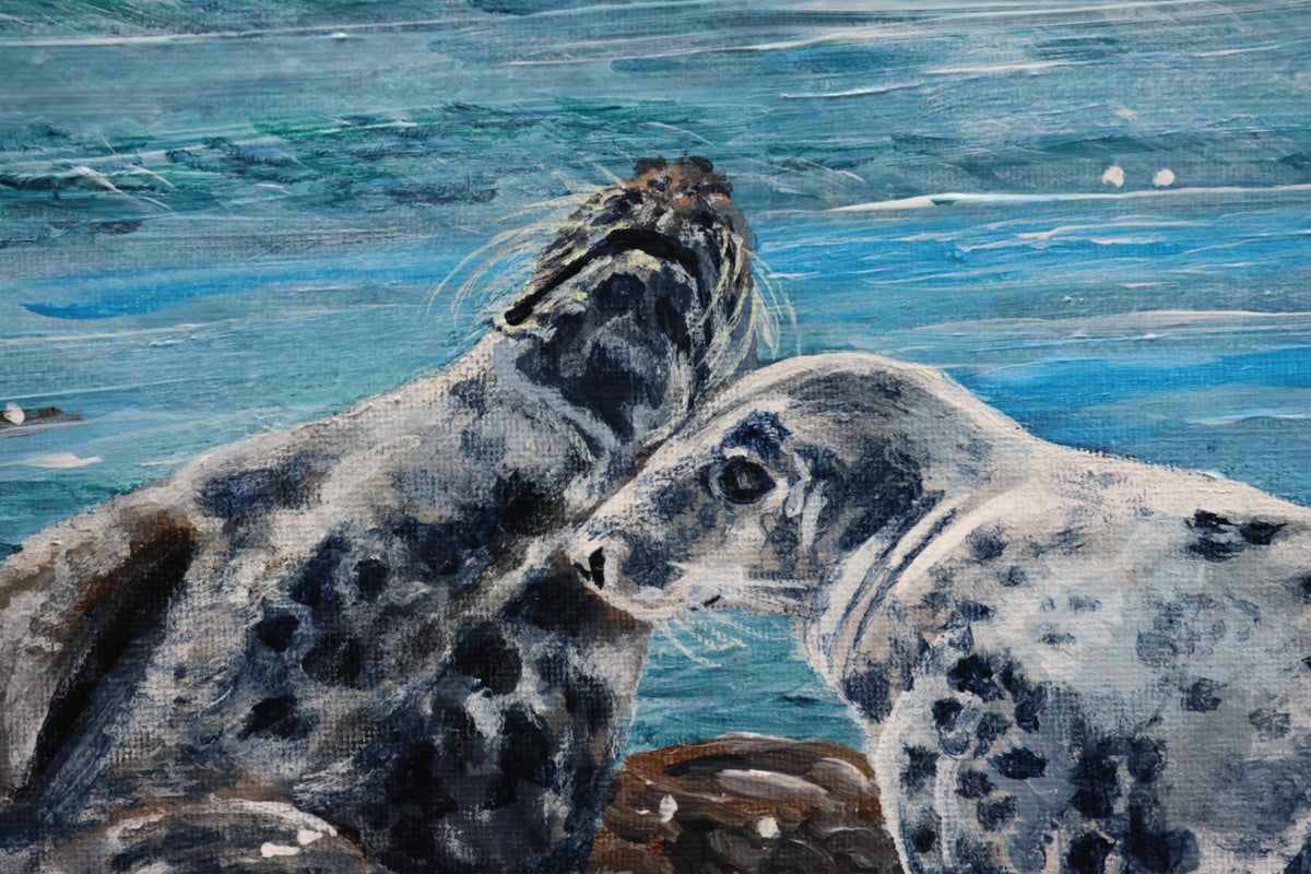 Original Irish Wildlife Acrylic Painting – Rathlin Island Grey Seals