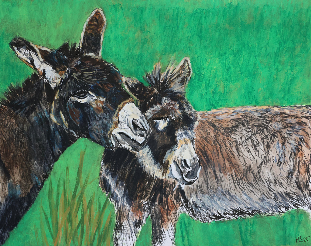 Pack of 5 Fermanagh Donkeys Cards