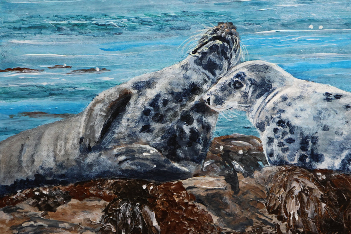 Original Irish Wildlife Acrylic Painting – Rathlin Island Grey Seals