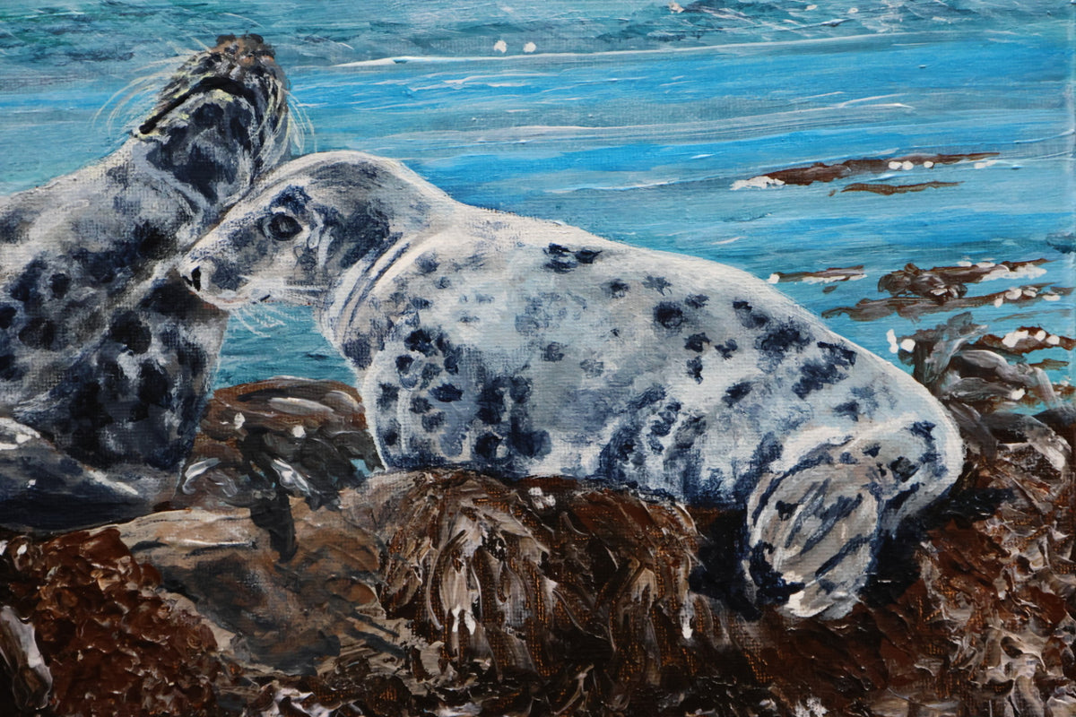Original Irish Wildlife Acrylic Painting – Rathlin Island Grey Seals
