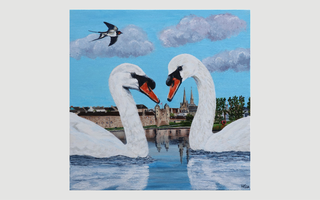 Pack of 5 Enniskillen Swan Love Cards