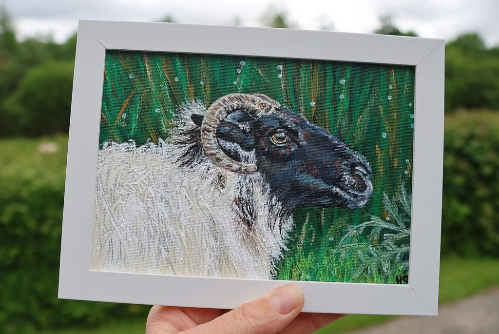 Original 7” x 5” Acrylic Painting “Fermanagh Ewe”