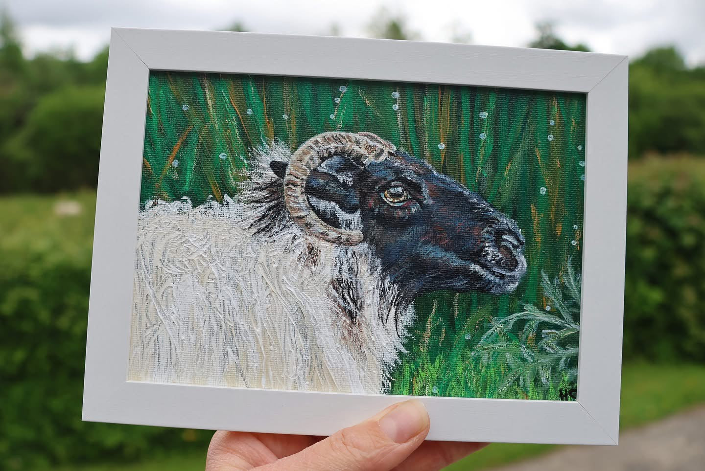 Original 7” x 5” Acrylic Painting “Fermanagh Ewe”