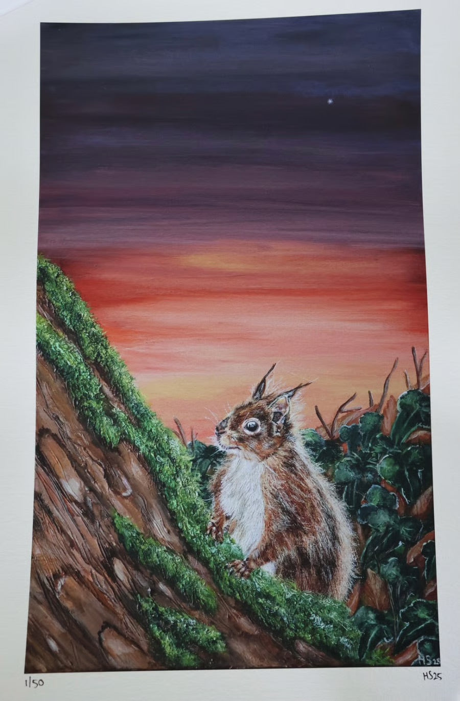Limited Edition Giclee Print ‘Sunset Red Squirrel’