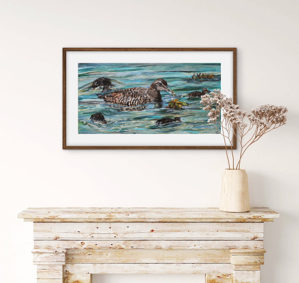 Limited Edition Giclee Print ‘Rathlin Eiders’