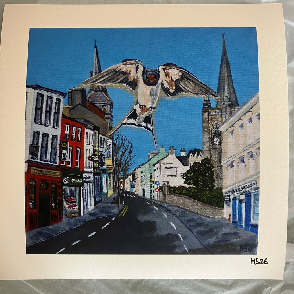 Enniskillen Church Street Swallow Giclee Print