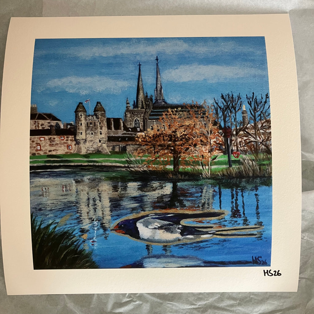 Enniskillen Lough Erne Swallow Giclee Print