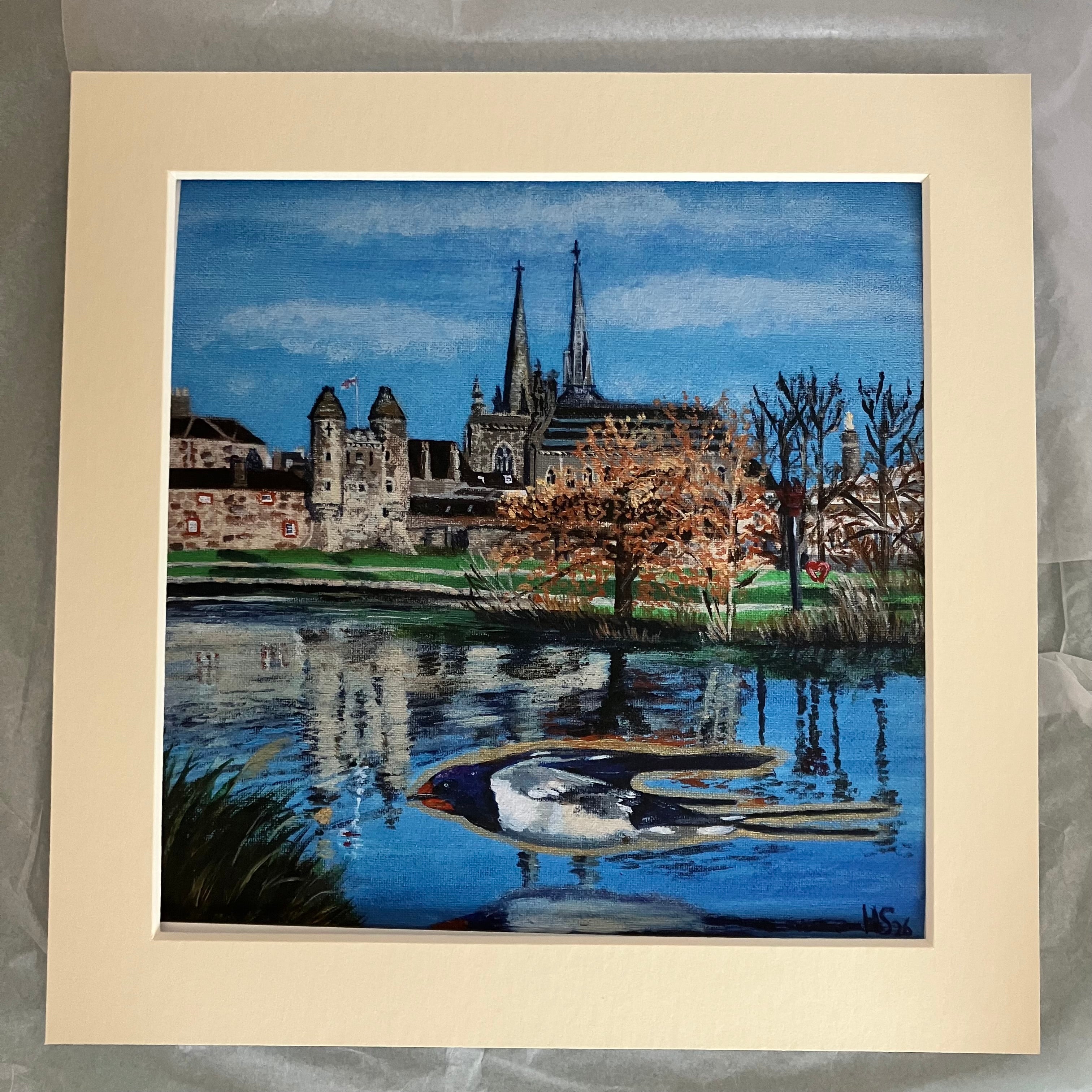 Enniskillen Lough Erne Swallow Giclee Print