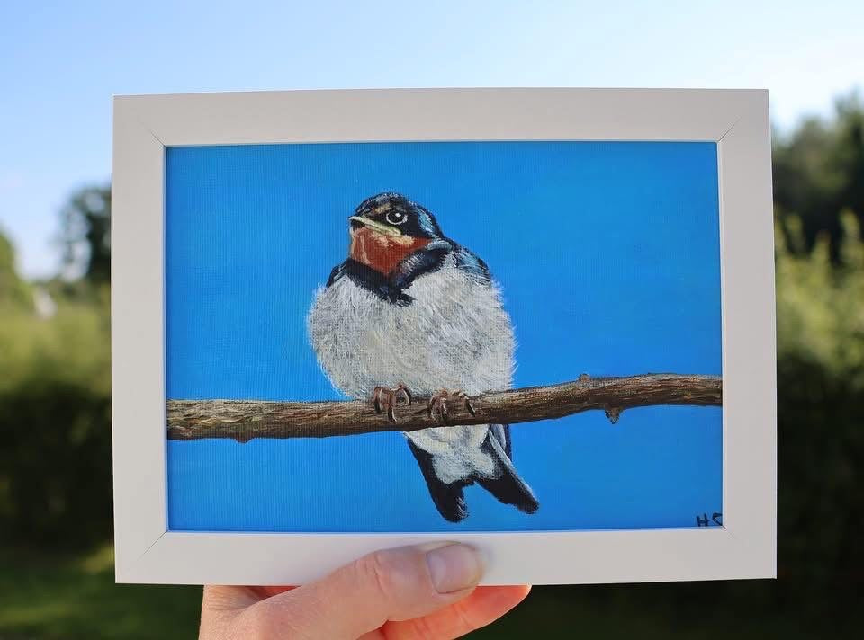 Original 7” x 5” acrylic painting “Fledgling Swallow”