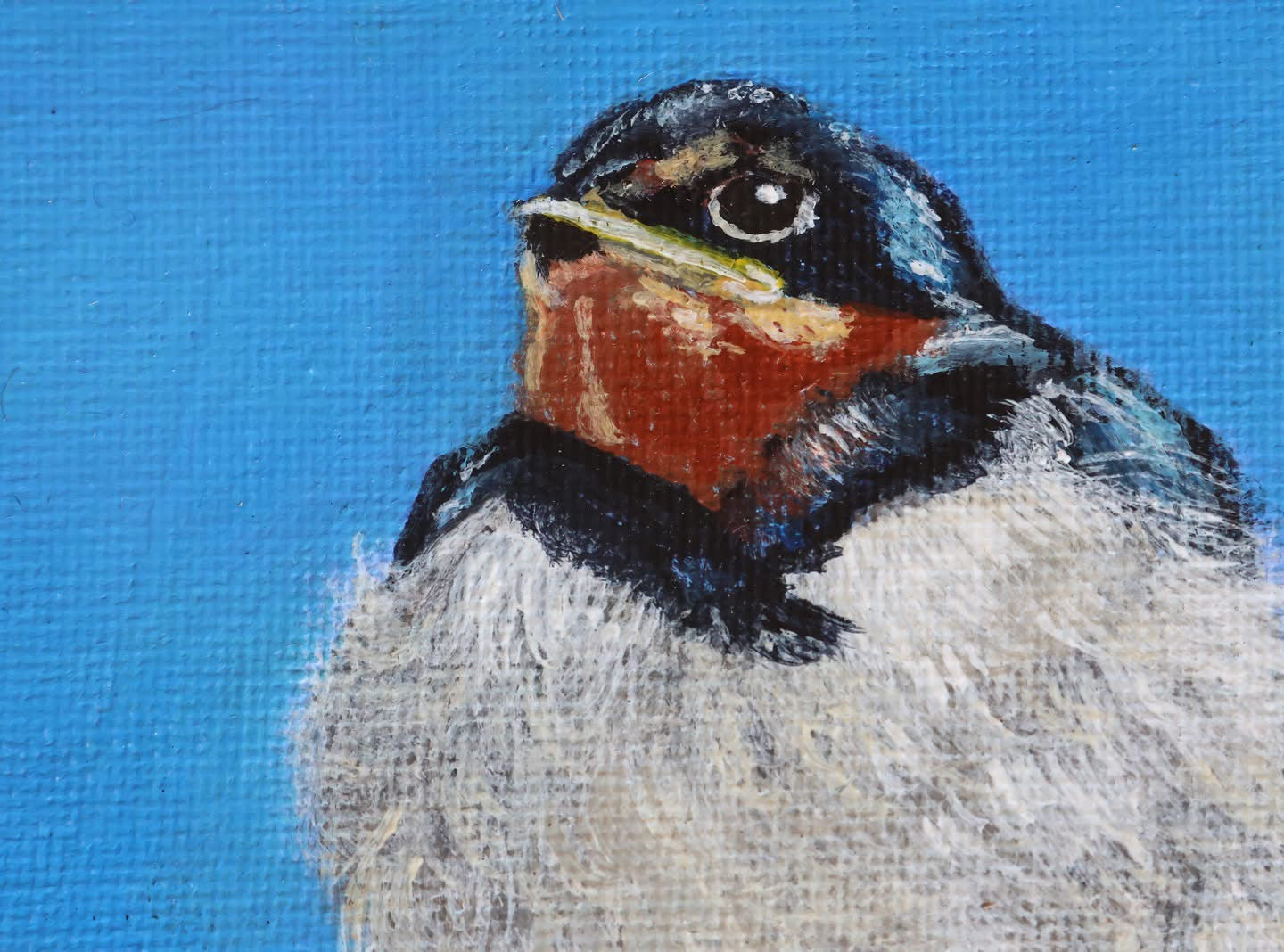 Original 7” x 5” acrylic painting “Fledgling Swallow”