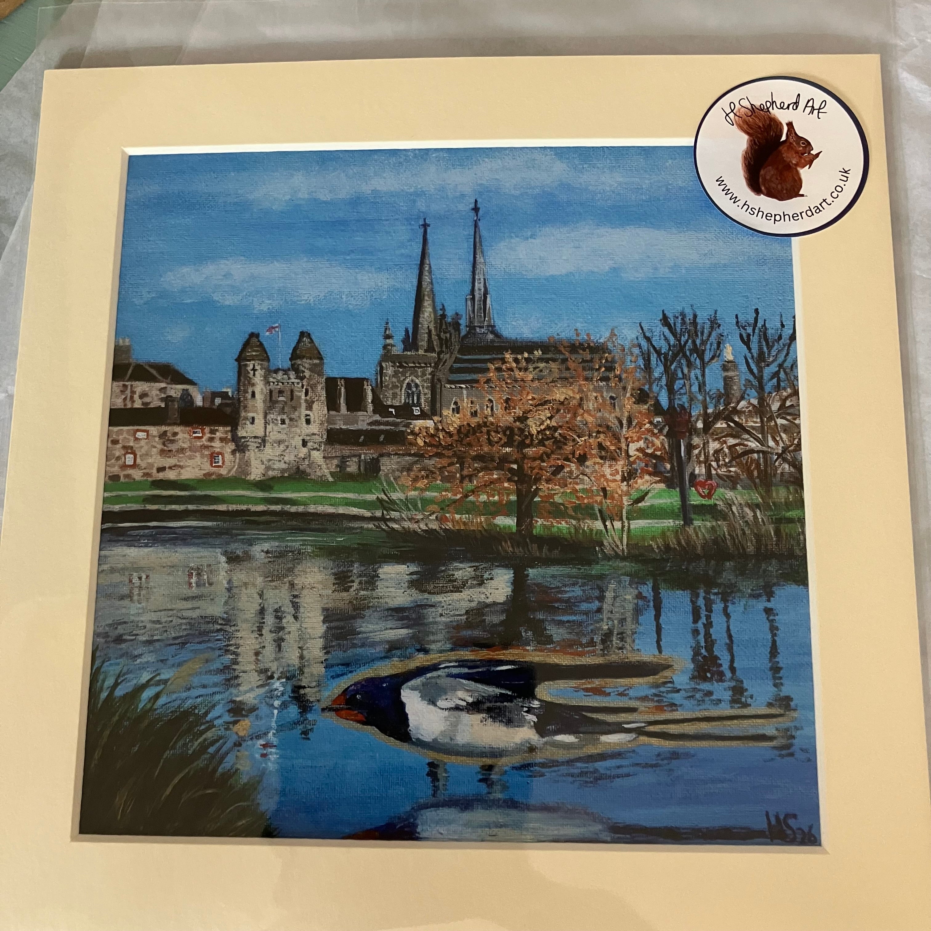 Enniskillen Lough Erne Swallow Giclee Print