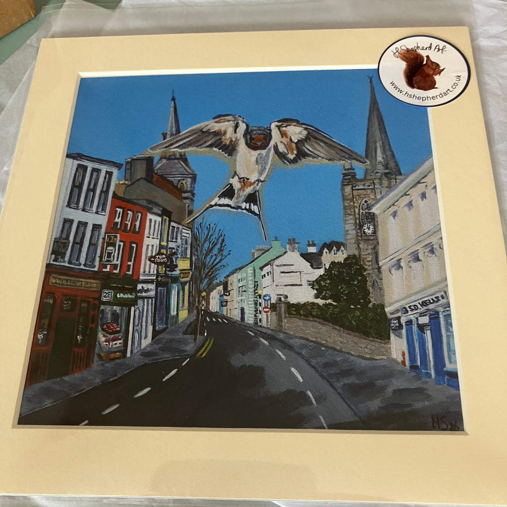 Enniskillen Church Street Swallow Giclee Print