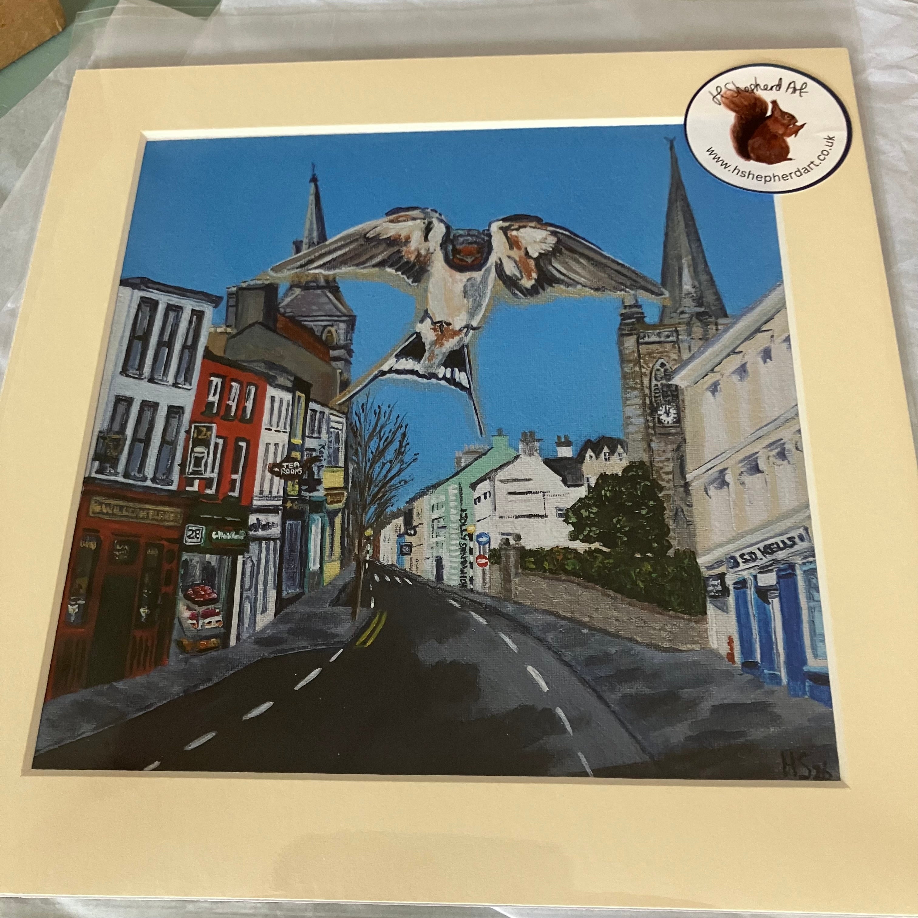 Enniskillen Church Street Swallow Giclee Print