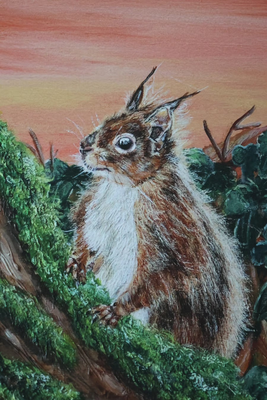 Limited Edition Giclee Print ‘Sunset Red Squirrel’