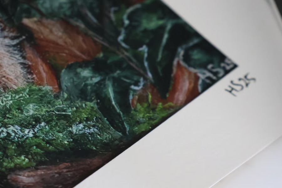 Limited Edition Giclee Print ‘Sunset Red Squirrel’