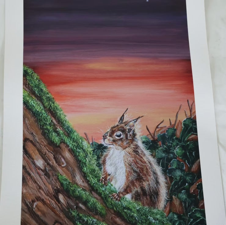 Limited Edition Giclee Print ‘Sunset Red Squirrel’