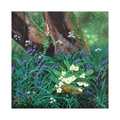 Limited Edition Giclee Print ‘Woodland Spring’