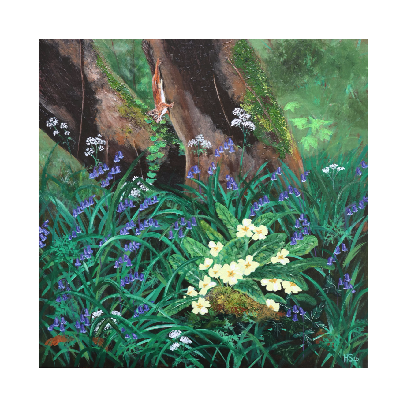 Limited Edition Giclee Print ‘Woodland Spring’