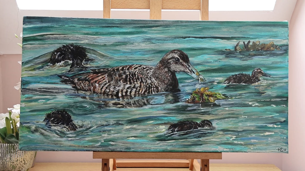 Original Acrylic Painting ‘Rathlin Eiders’